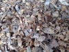 Rubber Wood Chip for fuel or power plant