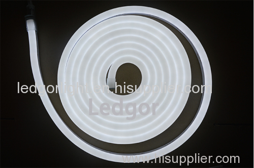 High luminous Led Flex Neon Light