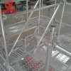 Ladder frames scaffolding/Scaffolding Formwork Frame Systems from China /frames