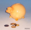 Poly resin Coin bank