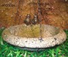 Poly Resin Bird Bath & Feeder