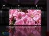 1R1G1B SMD2020 3in1 192x96mm indoor leddisplays ariseled.com 32dotsx64dots for real