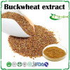 Buck wheat seed extract flavonoids