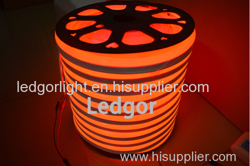 High luminous Led Flex Neon Light