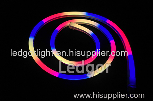 24V 12V addressable led neon flex RGB color