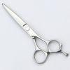 Stainless Steel Hair Cutting Scissors / 5.5 Inch Professional Barber Scissors