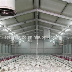 Industrial Chicken House Product Product Product