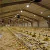 Commercial Chicken House Product Product Product