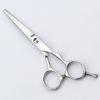 Stainless Steel Hair Cutting Scissors Professional 5.5 Inch For Women Hair