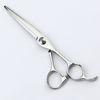 Twin Hole Stainless Steel 5.5 Hair Cutting Scissors For Straight Hair