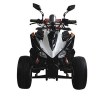 50-110cc ATV Street Standard For Transportation