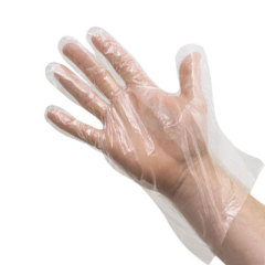 Disposable HDPE Glove Disposable HDPE Glove