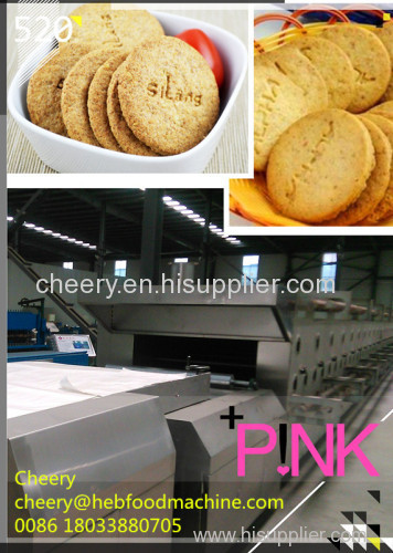 China new design cheap biscuit making line