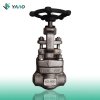 China BW A182 F304L Forged Globe Valves