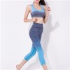 Ombre Athletic Heathered Leggings And Bra Top Set