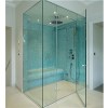 Tempered Glass Shower Doors