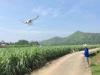 20 Hectare Per Day UAV Agricultural Spraying Gasoline Powered Unmanned Flybarless RC Helicopter