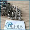 Shaped Titanium Screw Product Product Product