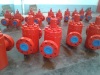 Gate Valve 4-1/16