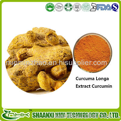 Natural Extract Curcumin Extract