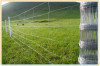 Cattle Fence wire mesh fence