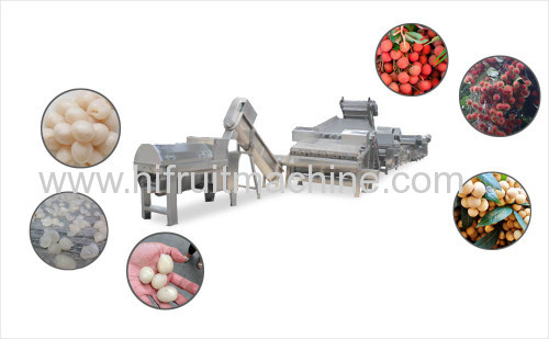 fruit peeling and pitting processing for lychee