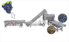 High quality Grape stem removing and smashing machines in Grape Wine Processing Production