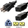 IEC C19 Power Splitter Cord NEMA 6 20P 2 x C19 Legs 20 Amp 12 / 3 SJT