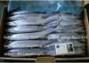 FROZEN PACIFIC SAURY Fish