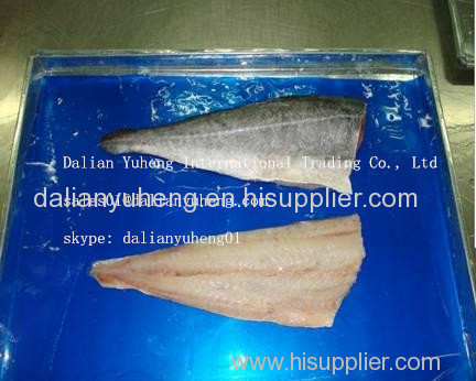 FROZEN SAITHE FISH FILLETS