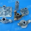 Nut D20 Product Product Product