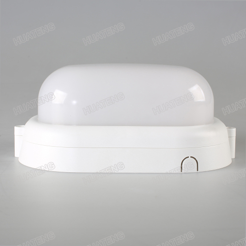 IP65 Oyster light 15W Plastic Ellipse LED Wall Lighting