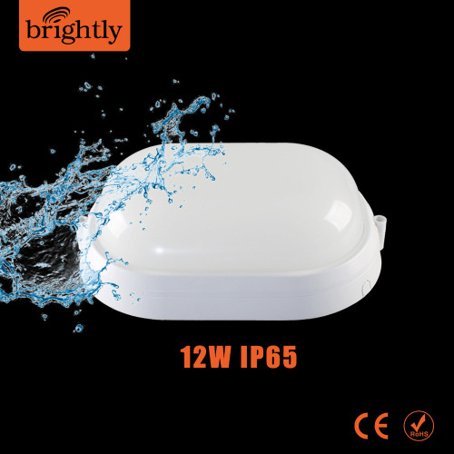 IP65 12W Plastic ellipseLED Wall Lighting with ce rohs