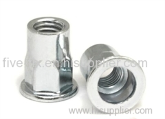 Blind rivet nut- hex body nut