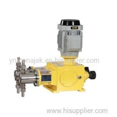 Duplex Heads Plunger Metering Pumps