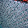 Plastic Coated Chain Link Mesh/Chain Wire Mesh(Factory)