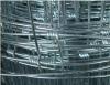 Field Fencing/ Wire Netting/ Wire Mesh Fence/ Wire Fence