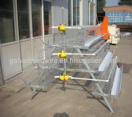 9LCDr-3168 Hot Galvanized Automatic H-type Broiler Chicken Cage