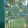 High quality hot galvanized then coated wire mesh fence