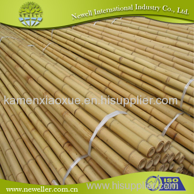 Bamboo Pole for Plant