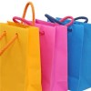 Paper Gift Bags With Handles