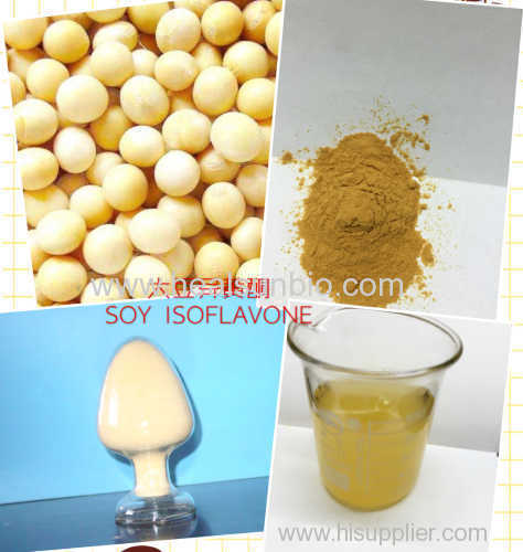 Soy bean Extract Powder Soy Isoflavone 20% ~80% HPLC