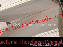 paulownia timber for decorative materials / paulownia plank