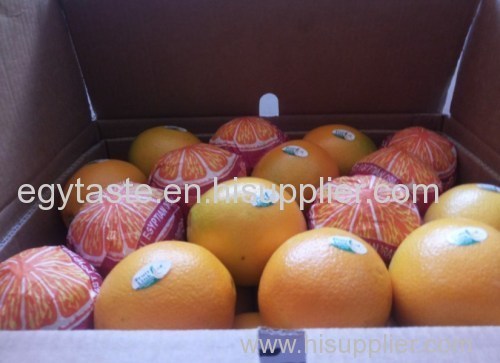 Navel Orange Egg Shape