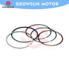GROWSUN GY6125 motorcycle parts of piston ring