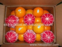 fresh navel orange