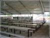 Beer Festival PVC Clear Span Tents Waterproof Marquee Hire 20x50M 1000 Sqm