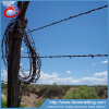 Low price electro dipped galvanized barbed wire