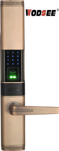 New generation fingerprint recognition algorithm Keyless security digital touch screen smart fingerprint door lock