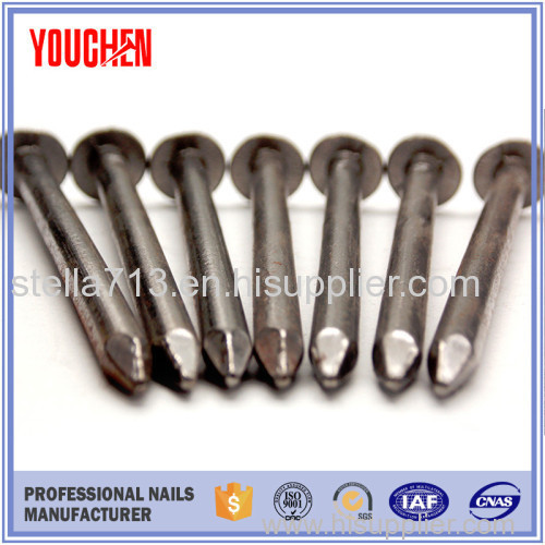 Top quality polished common wire nail
